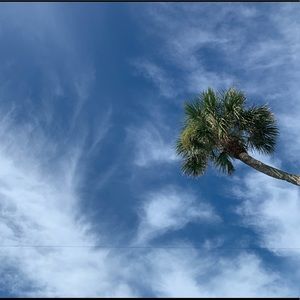 Meet your Posher, Marissa